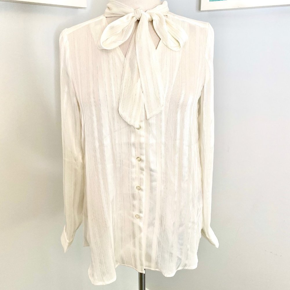 Shimmer blouse with tie neck button down top